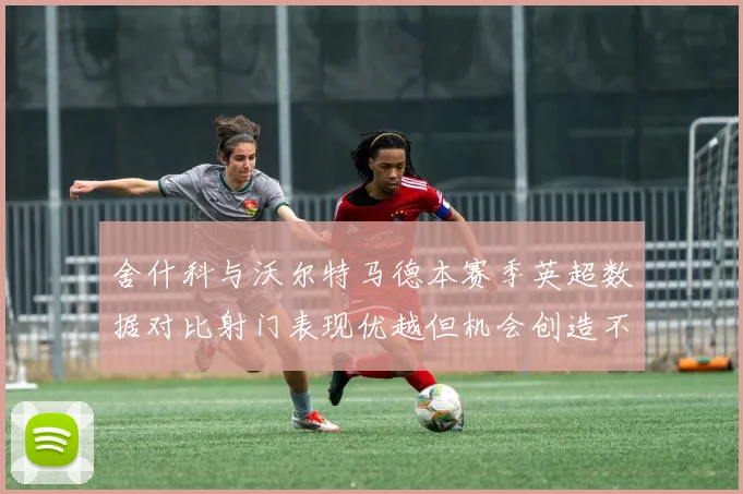 舍什科与沃尔特马德本赛季英超数据对比射门表现优越但机会创造不足