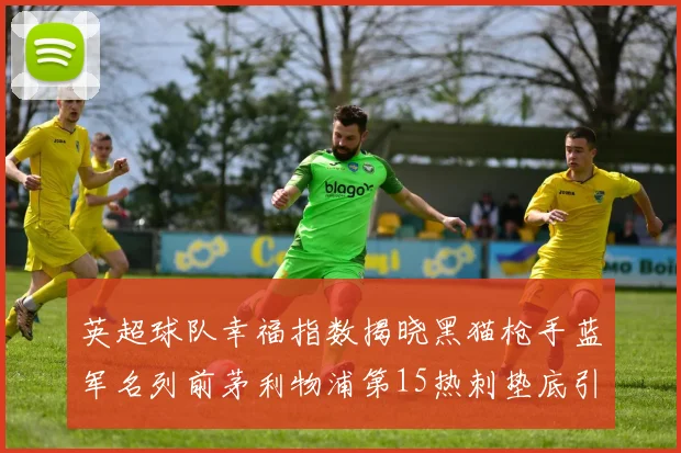 英超球队幸福指数揭晓黑猫枪手蓝军名列前茅利物浦第15热刺垫底引关注